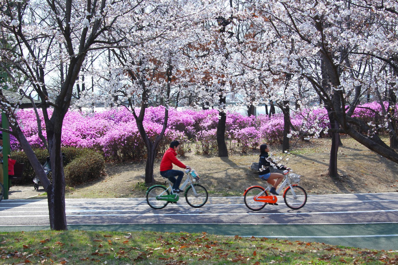Prize winners - Kim Hwasuk – With Azalea, the Spring Messenger